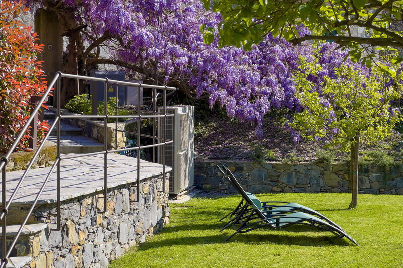 La Casa Dei Glicini - Levanto